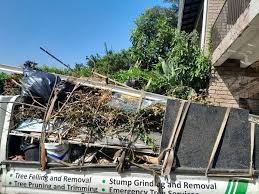 Trusted Mandan, ND Junk Removal Services Experts
